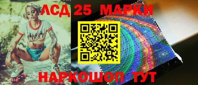 гидропоника Будённовск