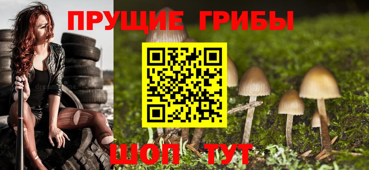 Вичуга  Галлюциногенные грибы ЛСД  Вход с VPN 