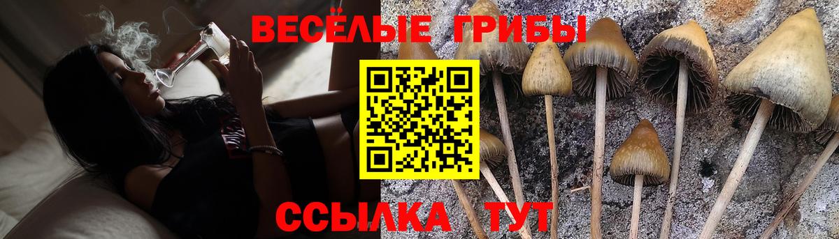 Галлюциногенные грибы прущие грибы Вичуга